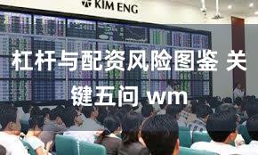 杠杆与配资风险图鉴 关键五问 wm