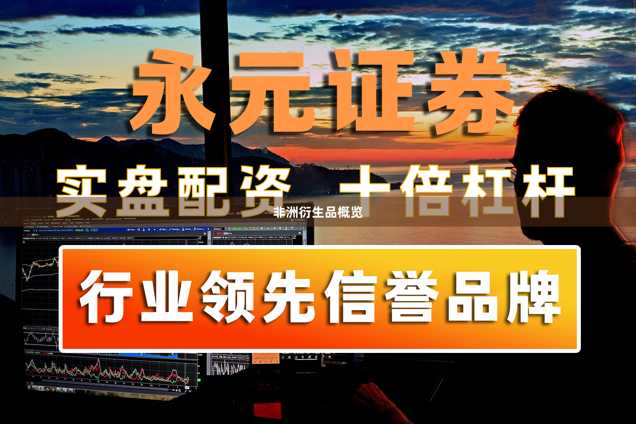 非洲衍生品概览